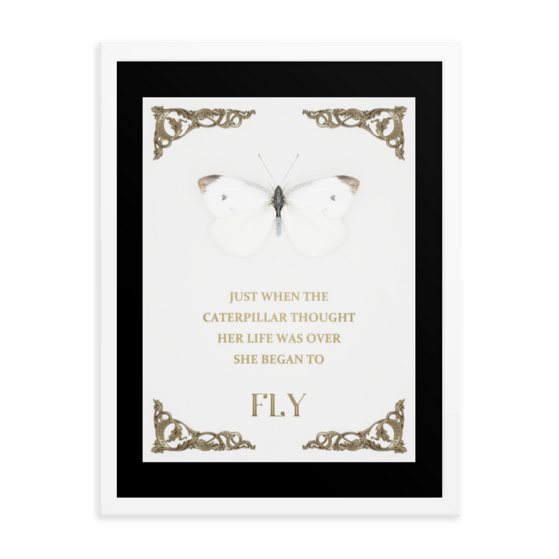 BUTTERFLY INSPIRATIONAL QUOTES WALL ART