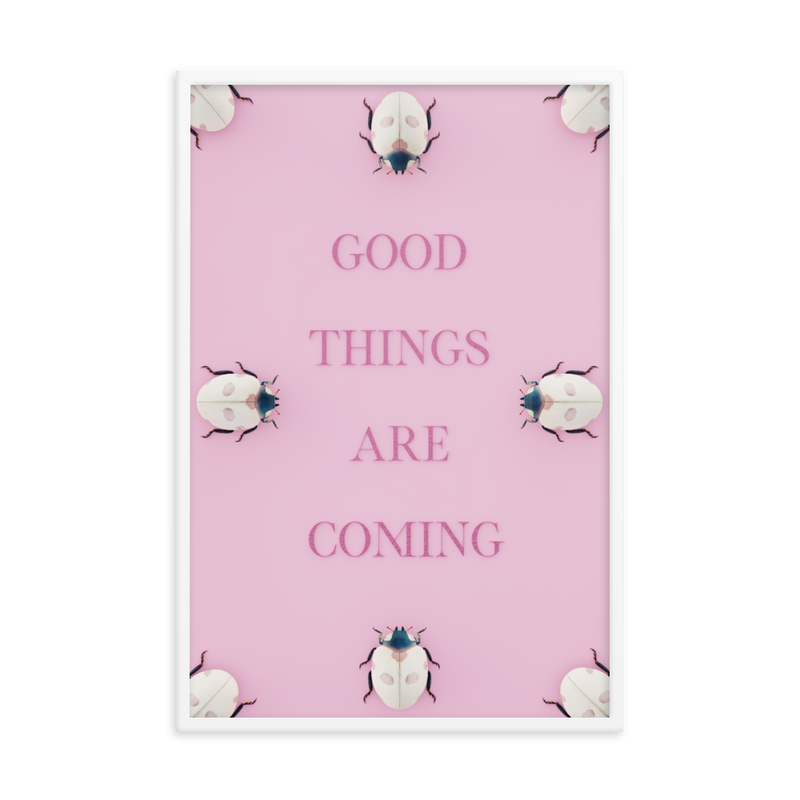 LADYBUG QUOTES WALL ART