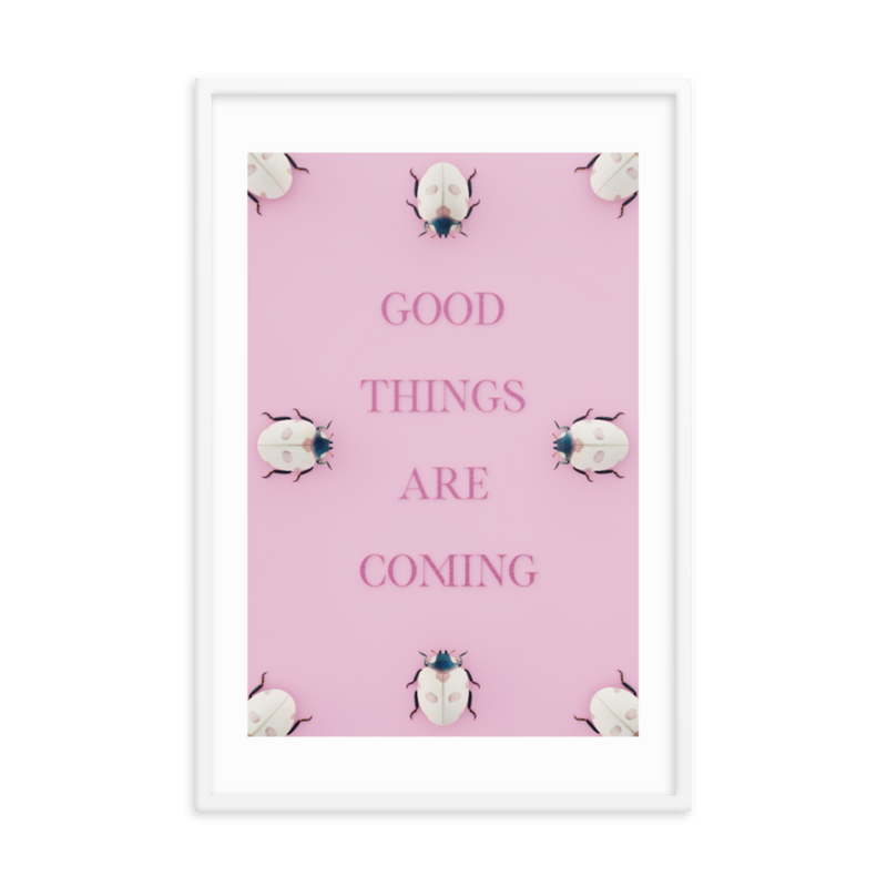 LADYBUG QUOTES WALL ART