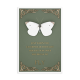 butterfly inspirational quotes wall art