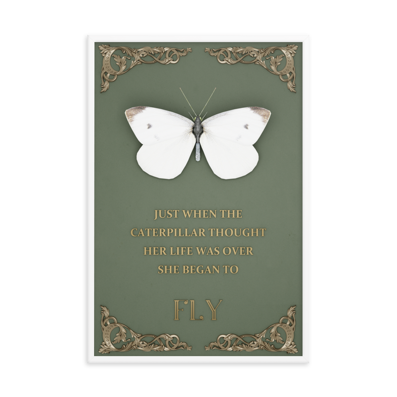 butterfly inspirational quotes wall art