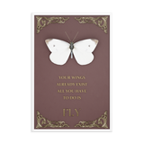 BUTTERFLY INSPIRATIONAL QUOTES WALL ART