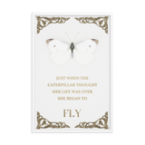 BUTTERFLY INSPIRATIONAL QUOTES WALL ART