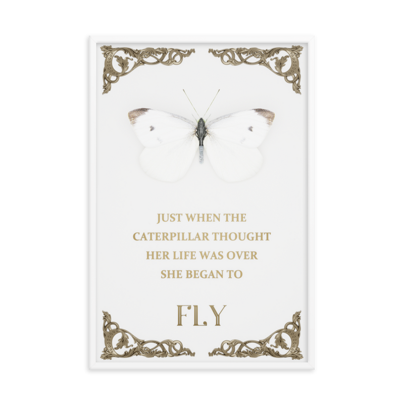 BUTTERFLY INSPIRATIONAL QUOTES WALL ART