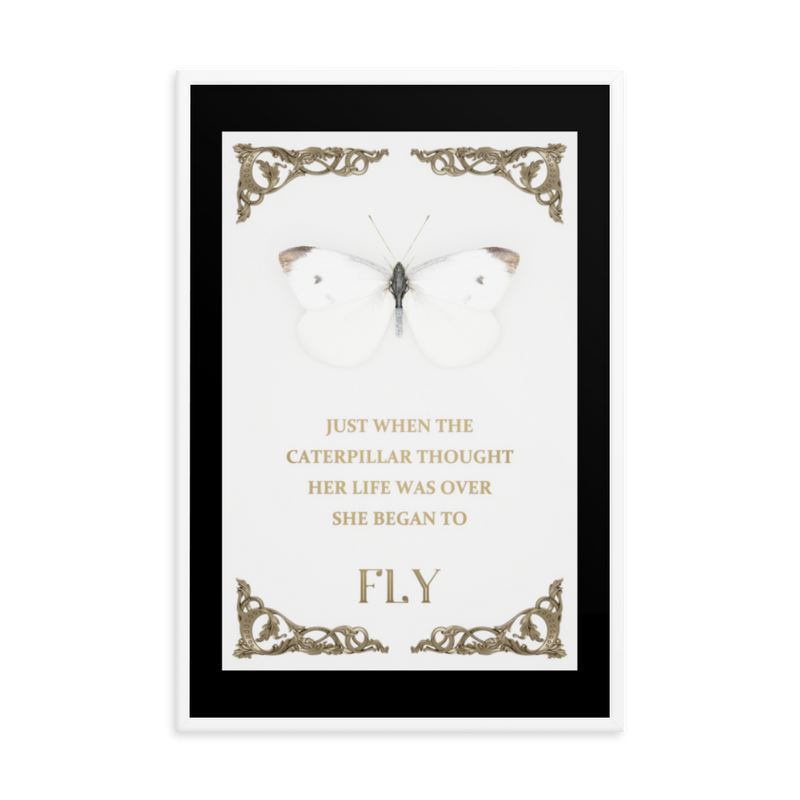 BUTTERFLY INSPIRATIONAL QUOTES WALL ART